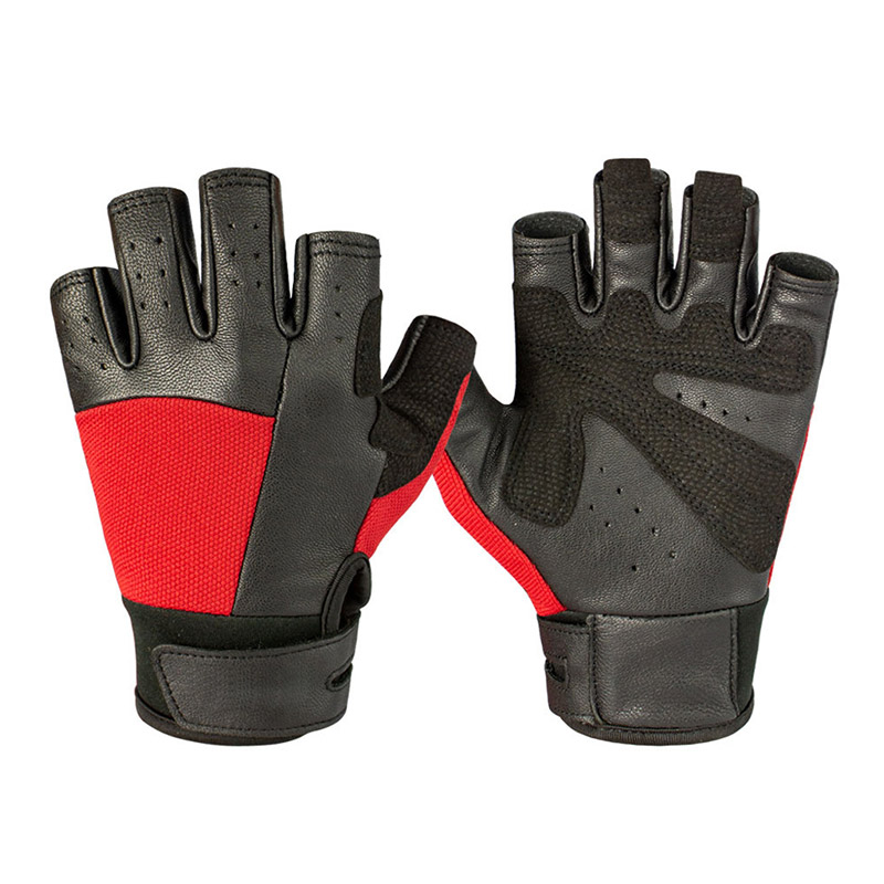 Sports Gloves 